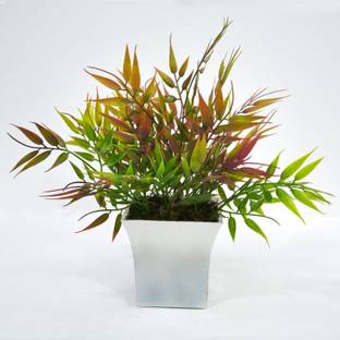 fancymart Artificial Progned Bamboo Leaves in Pot Wild Artificial Plant  with Pot