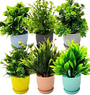 JJ Plastic Plastic 6 Packs Fake Plants Small, Mini Artificial Plants Indoor Wild Artificial Plant  with Pot