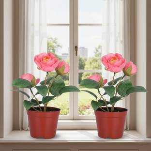 KUBER INDUSTRIES Wild Artificial Plant  with Pot