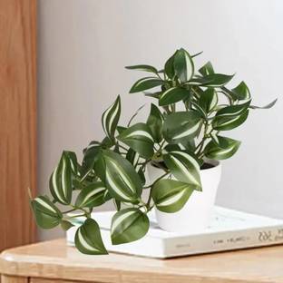 Decorcraft Artificial Plant  with Pot