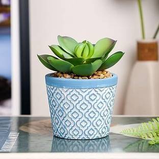 Satyam Kraft 1 Piece Artificial Ceramic Succulent Plant with pot for Home Decor Artificial Plant  with Pot