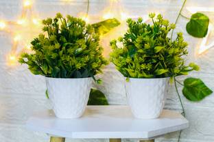 Sanol Artificial green money plant for office table home decor Wild Artificial Plant  with Pot