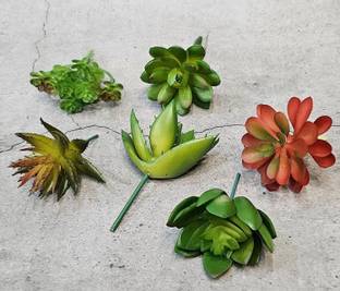Satyam Kraft 6 Pieces Artificial Succulent Heads Small Mini Plants for Home Decoration नकली पौधा