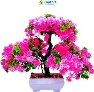 Flipkart SmartBuy Artificial Plants with Pot for Living Room | Decorative Items for Home Decor | Pink Daisy Artificial Flower  with Pot