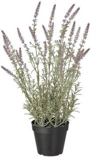 IKEA Digital Shoppy Artificial potted plant, in/outdoor/Lavender lilac, 12 cm Bonsai Artificial Plant  with Pot