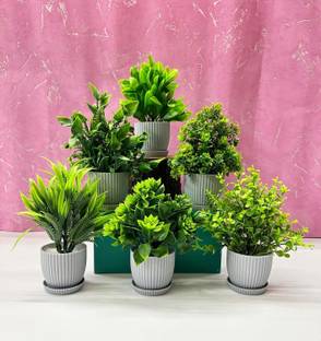 JJ Plastic 6 Packs Fake Plants Small, Mini Artificial Plants Indoor For Home Farmhouse Wild Artificial Plant  with Pot