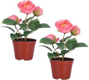 KUBER INDUSTRIES Wild Artificial Plant  with Pot
