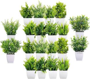 Litleo Green Eucalyptus Artificial Flower  with Pot