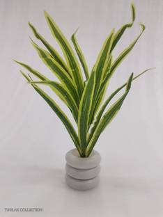 M K TRADING ARTIFICAL SNAKE PLANT Artificial Plant  with Pot