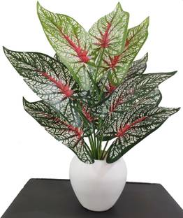 BAARIG Real Touch Money Plant with 12 Leaves Heads Artificial Plant  with Pot