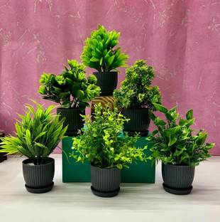 JJ Plastic 6 Packs Fake Plants Small, Mini Artificial Plants Indoor For Home Farmhouse Wild Artificial Plant  with Pot