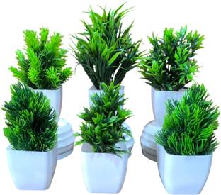 Naturaly Artificail Real Touch Bonsai Wild Artificial Plant  with Pot