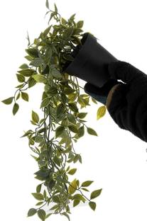 Paperi Artificial Potted Plant - Hanging Bonsai Wild Artificial Plant  with Pot