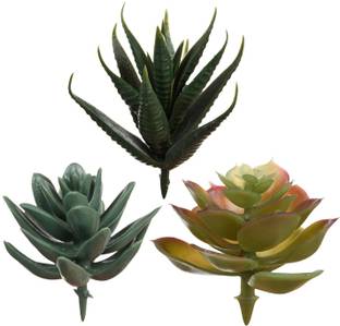 DRAPERI Artificial Potted Plant Set of 3 Succulent Plant (Multicolor) Artificial Plant