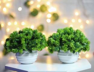shanol Artificial soft green grass potted plant for home decoration. wild plant, Small Green Plant. table top green plant set of 2 (colour green, ) जंगली नकली पौधा पॉट के साथ