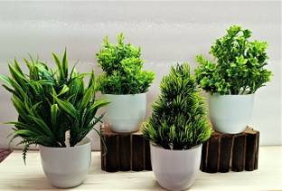 ductor combo 4 Unique Artificial Green Plant With Pot. H~15cm Bonsai Wild Artificial Plant  with Pot