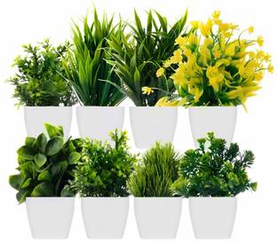 Ryme Small Set of 8 Artificial Plants Bonsai Wild Artificial Plant  with Pot