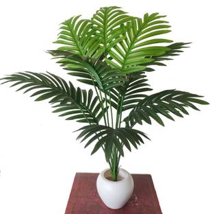 BAARIG 12 Leaves Areca Palm Indoor Plant for Home/Shop/Office Decor/Gifting Artificial Plant  with Pot