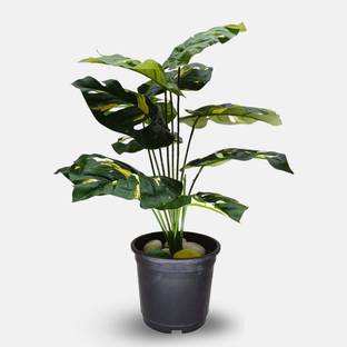 VIVARS CRAFT Artificial Monstera Plant Wild Artificial Plant