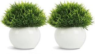 Dekorly 2 Packs Artificial Plants Potted Grass Home Office Desktop (PACK OF 2, Green) बोनसाई जंगली नकली पौधा पॉट के साथ