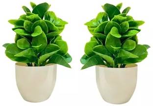KanRaj Bonsai Wild Artificial Plant  with Pot