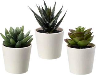 KUBER INDUSTRIES Artificial Set of 3 Mini Realistic Fake Plants with Plastic Pots for Home Décor Bonsai Artificial Plant  with Pot