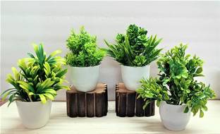ductor Artificial Natural Looking Bonsai Green Small Plant With Pot combo Of 4 . H~15cm Bonsai Wild Artificial Plant  with Pot