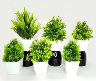blue penguin Set Of 6 Mini/Small Artificial Plants Bonsai Wild Artificial Plant  with Pot