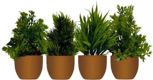 Ryme Set Of 4 Bonsai Wild Artificial Plant  with Pot
