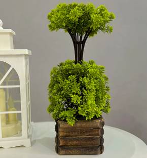 Litleo Bonsai Wild Artificial Plant  with Pot