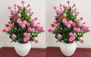 zonezer Set of 2 Table flower top Bonsai for home shop office gifting Bonsai Wild Artificial Plant  with Pot