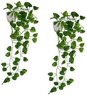 fancymart Home Decor Real Touch Vine Plant Falling with Pot Small Size Wild Artificial Plant  with Pot