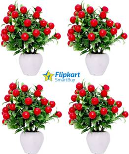 Flipkart SmartBuy Artificial Red Cherry Plant with Pot for Home Decor Set of 4 Bonsai Artificial Plant  with Pot