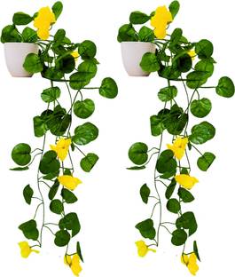 fancymart Artificial Flower Vine Plant Falling with Pot : Pack of 2 (Natural Touch & Feel) Wild Artificial Plant  with Pot