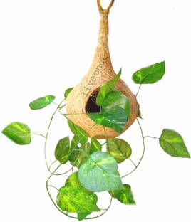 LIVEONCE Bonsai Artificial Plant  with Pot