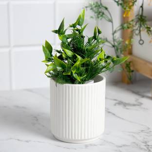anko Stonewear Scalloped Planter Stoneware Vase