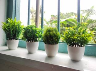 Ryme Small Size Pack Of 4 Bonsai Wild Artificial Plant  with Pot