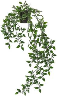 IKEA Artificial potted plant, in/outdoor/hanging, 9 cm Artificial Plant  with Pot