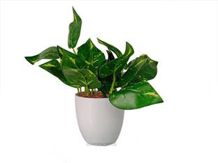 Garden Deco Artificial Succulent Plants Unpotted Fake Succulent Plants Green DIY (Green) Artificial Plant