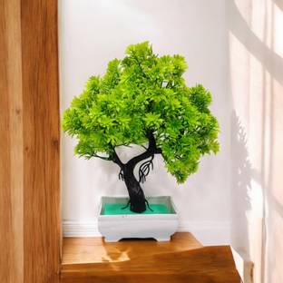 DIYANK Artificial green trees plant for dinning table, bedroom etc. Bonsai Wild Artificial Plant  with Pot