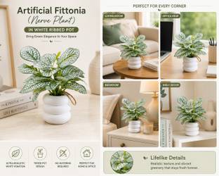 INFINITY WORLD Premium Artificial Pothos Plant with White Ring Decorative Planter Artificial Plant  wi...
