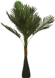 WhiteAsh Coconut Tree Artificial Plant