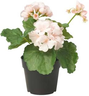 IKEA Artificial potted plant, in/outdoor/Geranium light pink, 9 cm Bonsai Artificial Plant  with Pot