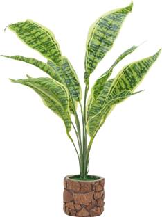 Yash Enterprises Yash Enterprises Croton Artificial Plant  with Pot