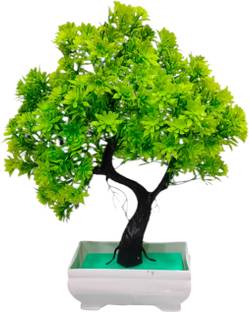 DIYANK Artificial green trees plant for dinning table, bedroom etc. Bonsai Wild Artificial Plant  with Pot