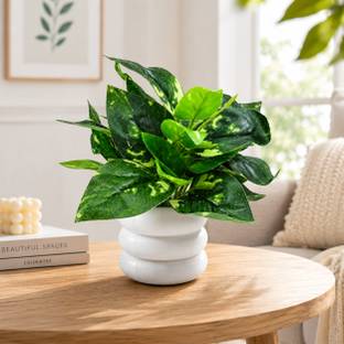 INFINITY WORLD Premium Artificial Pothos Plant with White Ring Decorative Planter Artificial Plant  wi...