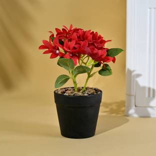 KUBER INDUSTRIES Trident Five Leaf Flower Natural Looking Artificial Plant for Home|Multicolor Bonsai Wild Artificial Plant  with Pot