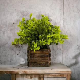 Litleo Bonsai Artificial Plant  with Pot