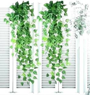 Divine Style Artificial fancy Wall Hanging Money Plant Bail/Creeper(pack of 6) Bonsai Artificial Plant