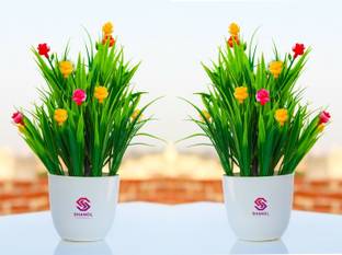 shanol :) Shanol :) Artificial Multicolour mini rose with green soft grass attached into a white heavy plastic pot , multicolor flowers plant, wild plant, green plant for home decoration office table decoration (length 22 cm, multicolour, pack of 2) well made and vibrant color...:) Wild Artificial Plant  with Pot